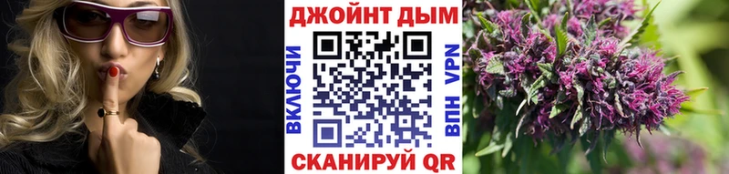 купить   Лыткарино  Бошки марихуана сатива 